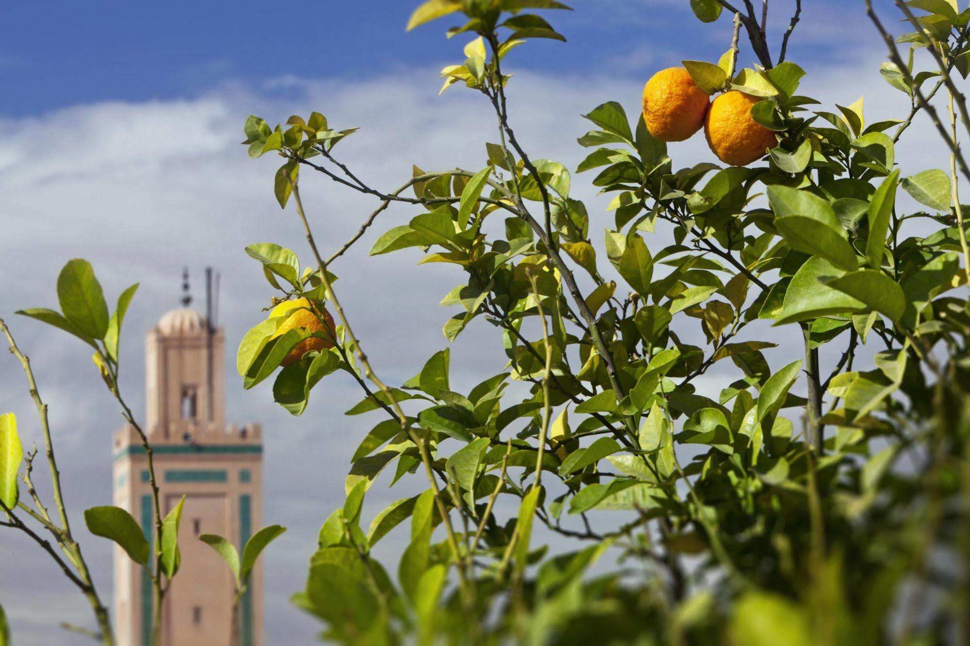 Le Farnatchi Hotel Marrakesh Ngoại thất bức ảnh